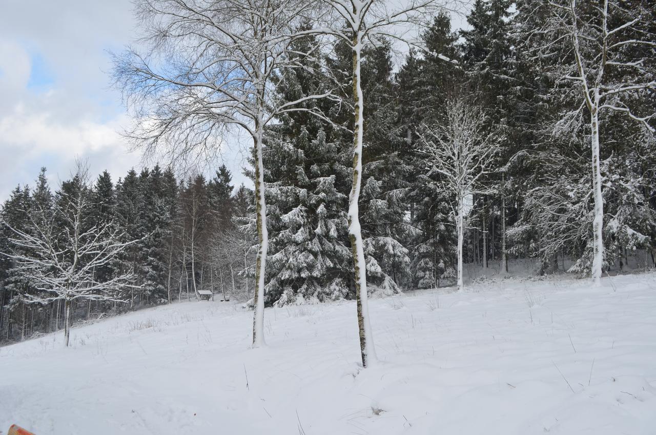 Chalet Le Forestier Бюланж Екстериор снимка