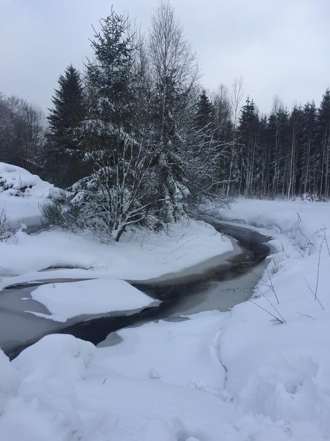 Chalet Le Forestier Бюланж Екстериор снимка
