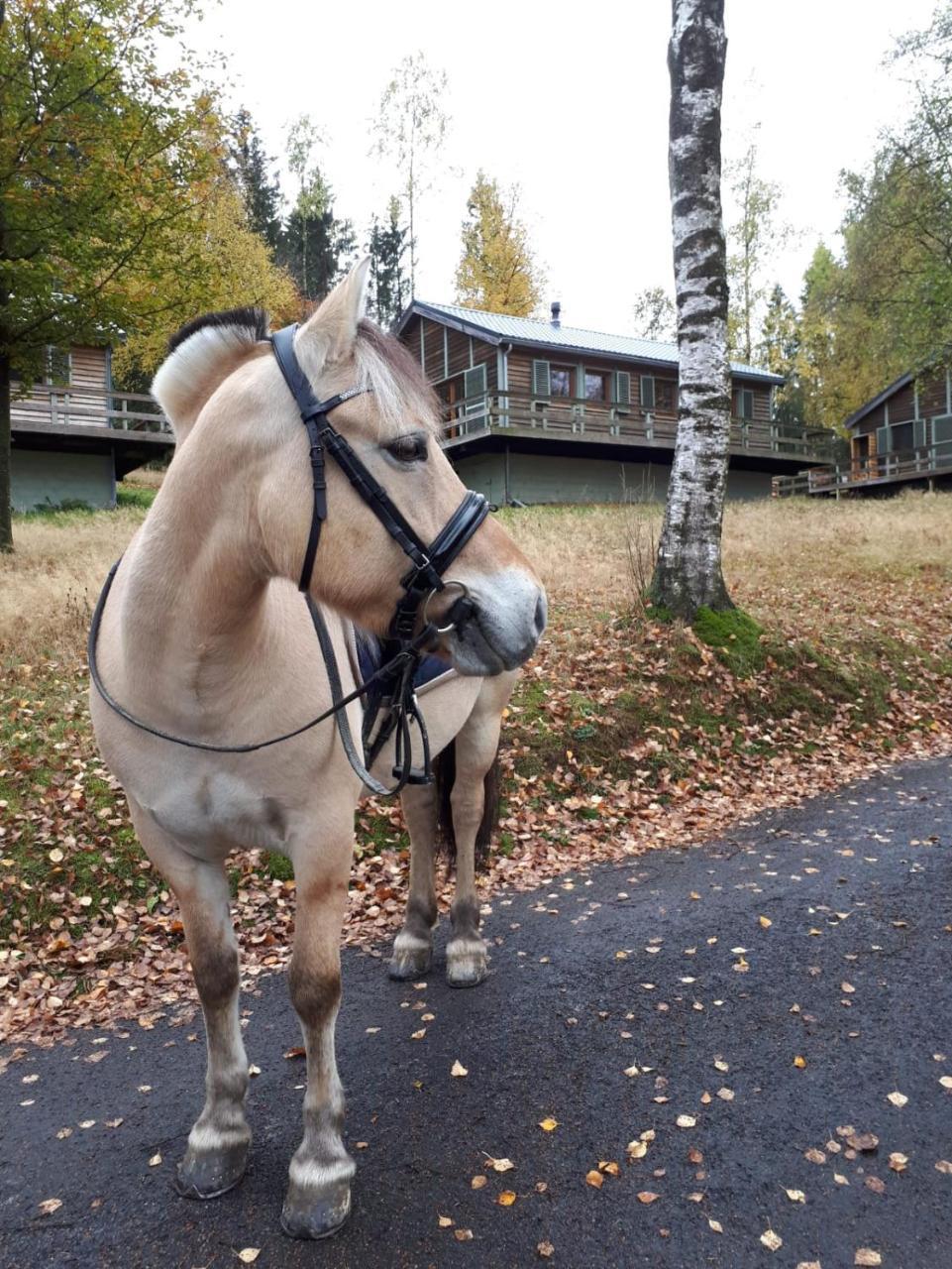 Chalet Le Forestier Бюланж Екстериор снимка